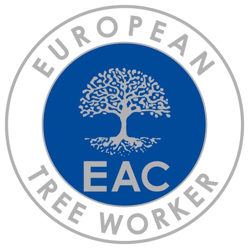 European tree worker in Leverkusen